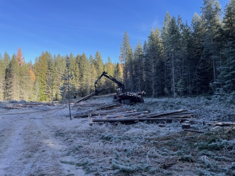 Heavy equipment harvests timber on a wildlife refuge