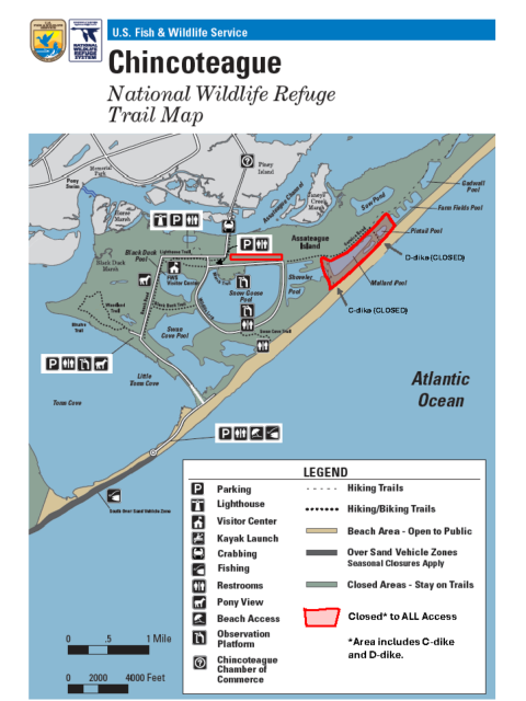 A trail map of Chincoteague National Wildlife Refuge showing closures alongside the Service Road.