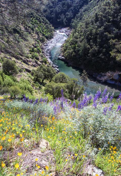 North Fork American River, California