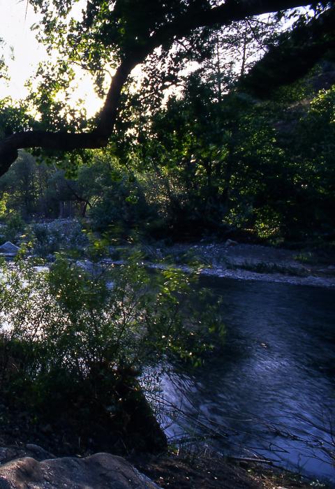 Piru Creek, California