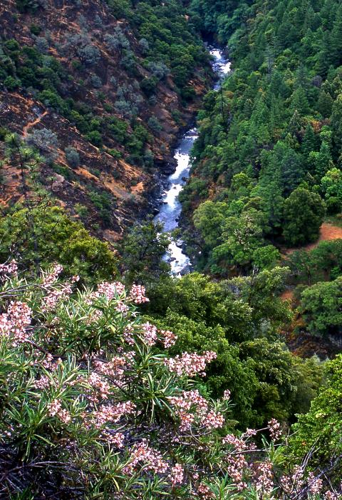 Trinity River, California