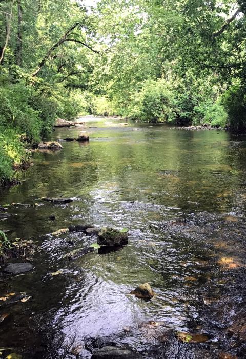 East Branch White Clay Creek, Pennsylvania