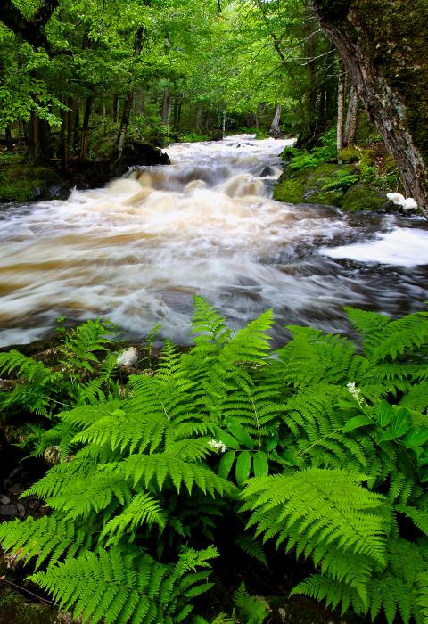 Ontonagon River, Michigan