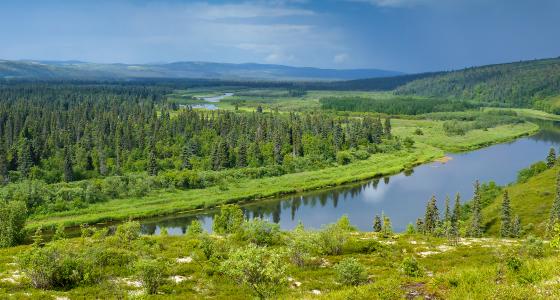 Andreafsky River, Alaska