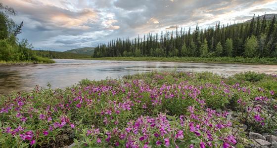 Beaver Creek, Alaska