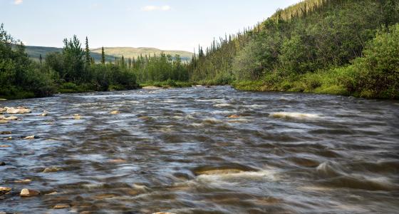 Birch Creek, Alaska