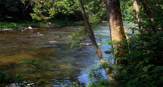 Bluestone River, West Virginia
