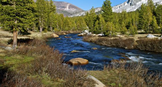 Tuolumne River, California