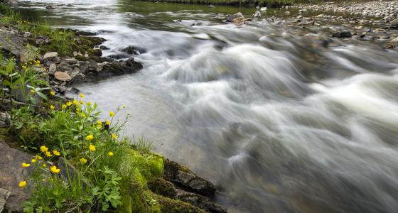 Fortymile River, Alaska