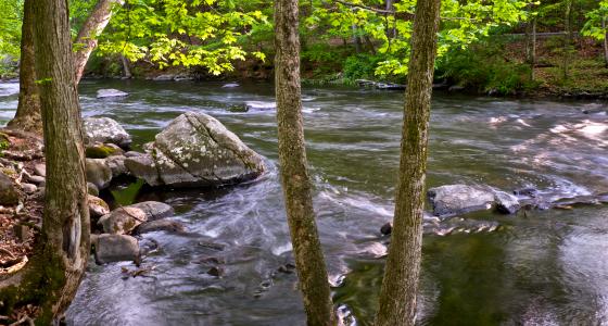 Musconetcong River, New Jersey
