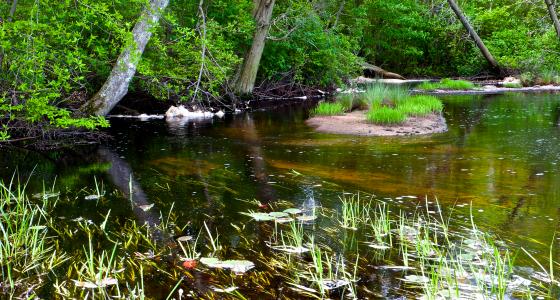 Manumuskin River, New Jersey