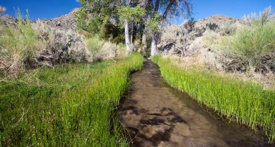 Cottonwood Creek, California