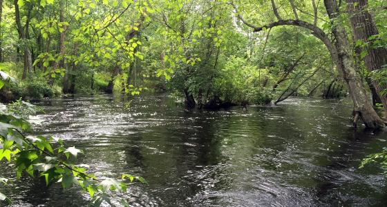 Great Egg Harbor River, New Jersey
