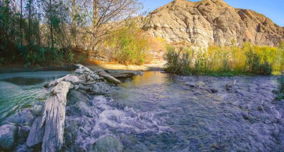 Whitewater River, California