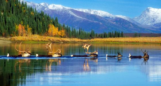 Koybuk River, Alaska