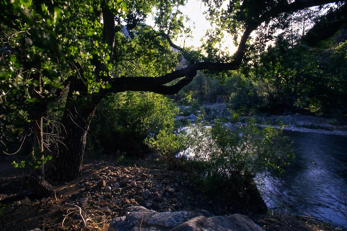 Piru Creek, California