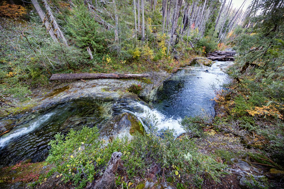 North Fork Silver Creek, Oregon