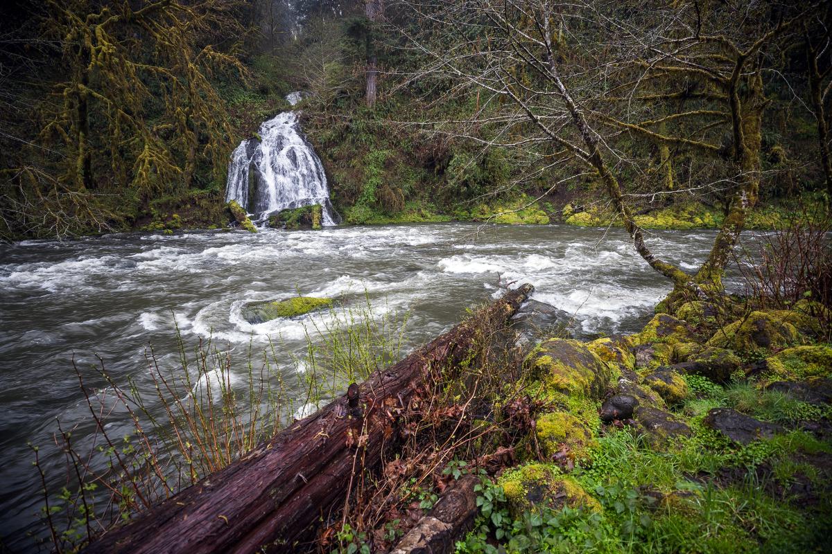 Nestucca River, Oregon