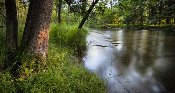 Pere Marquette River, Michigan