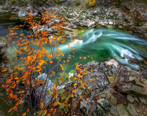 Middle Fork Salmon River