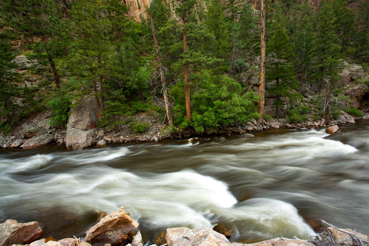 Cache la Poudre River, COlorado