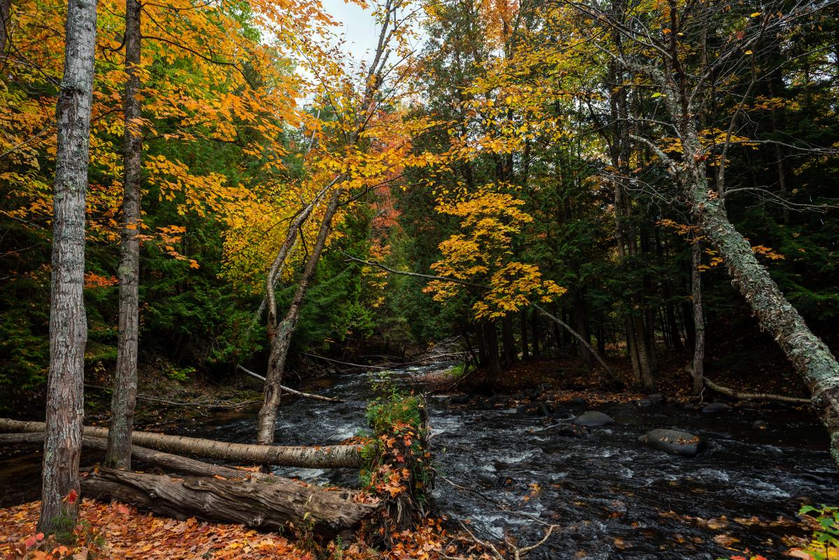 Carp River, Michigan