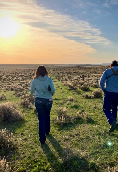 two people walking towards sunset through sagebrush landscape