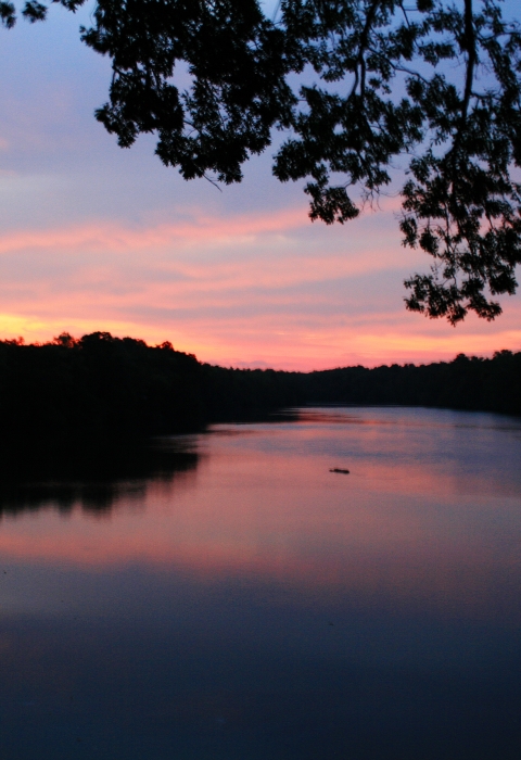 Sunrise view from the Visitor's Center at Waccamaw National Wildlife Refuge
