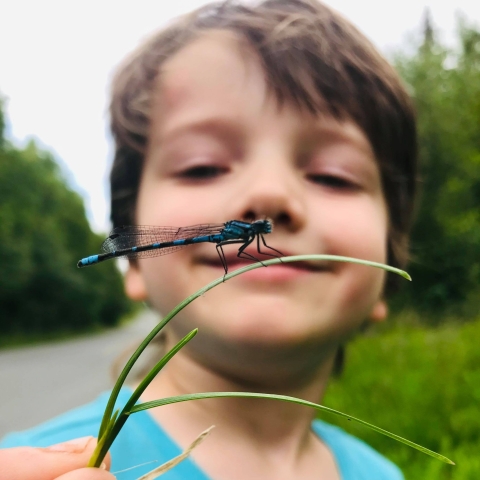 boy holding a damselfly