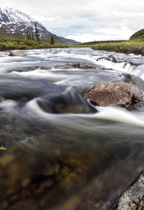 Delta River, Alaska