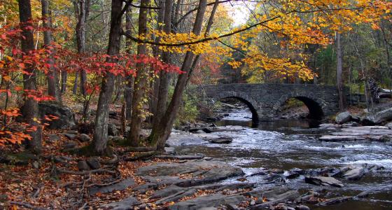 Ten Mile River, New York