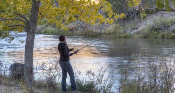 Rio Grande, New Mexico