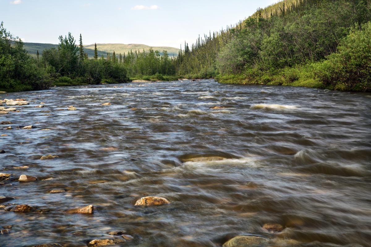 Birch Creek, Alaska