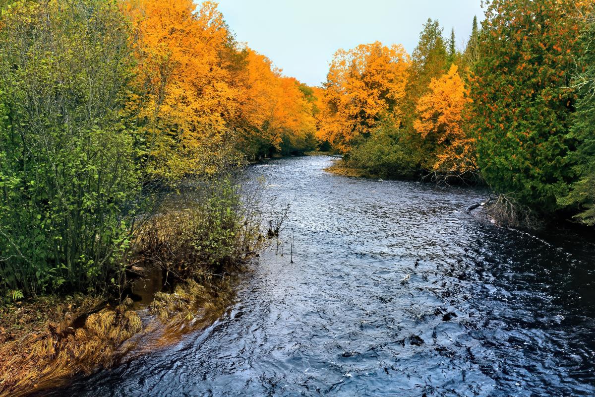 Whitefish River, Michigan