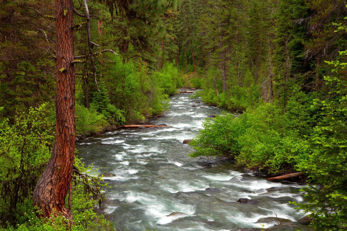 Imnaha River, Oregon