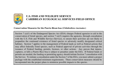 Conservation Measures for the Puerto Rican boa
