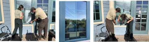 Bird-Friendly Window Treatments at Chequamegon-Nicolet National Forest, Northern Great Lakes Visitor Center