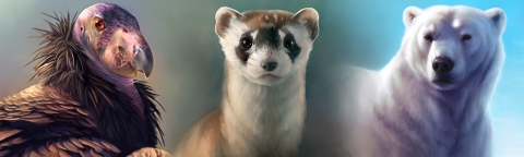 three painted portraits - California condor, black-footed ferret and a polar bear - are aligned in a row