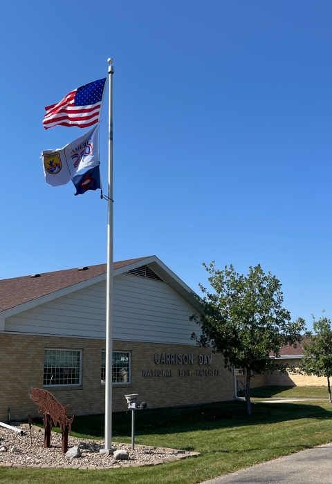 3 flags on flagpole with US flag atop USFWS ones. Building behind flagpole reads Garrison Dam National Fish Hatchery
