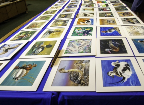 Image is multiple pieces of Junior Duck stamp artwork displayed on a table for the Junior Duck Stamp Contest 2023