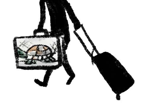 cartoon of a woman silhouette in black walking with a suitcase in one hand and a turtle in a carrier in the other