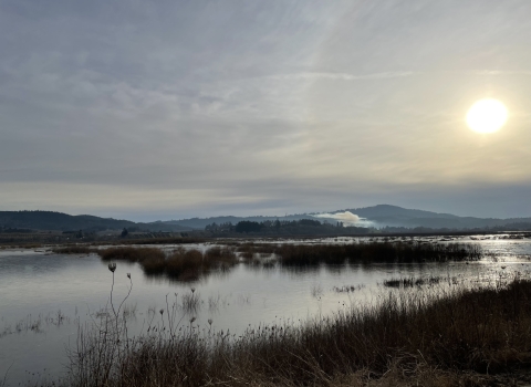 Wapato Lake filled with water at Wapato Lake National Wildlife Refuge