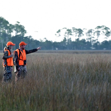 A man and a woman dressed in bright orange safety gear walk across a saltmarsh during a deer hunt