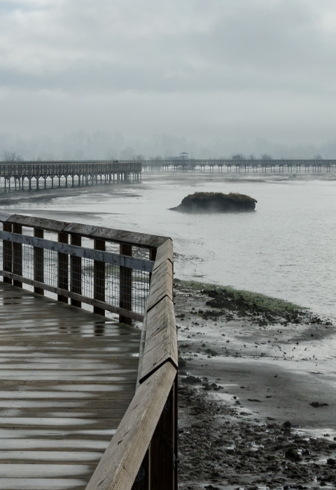 Wet boardwalk extending into distance with gray clouds and gray water
