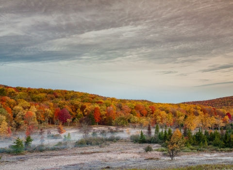 Fall foliage in Canaan Valley