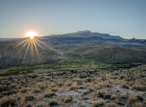 A sagebrush landscape at sunrise. A fence runs through the foreground and there are mountains stretching into the distance.