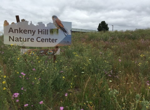 Ankeny Hill Nature Center sign in the foreground, the nature center in the background, in a meadow.