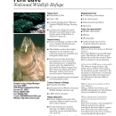 An image of the cover for the refuge fact sheet.