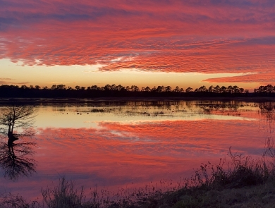 A bank of clouds lit scarlet-purple by sunset reflect on a glassy water surface surrounded by forest.