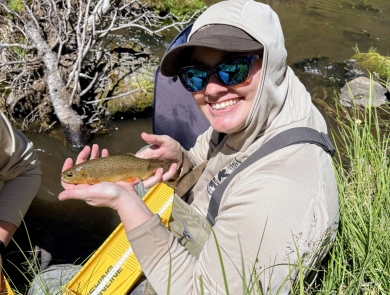 A person wearing outdoor field gear sits beside a grassy streambank, holding an Apache trout over a yellow measuring board. The stream and dense vegetation fill the background.
